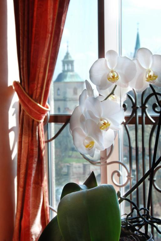 Hotel Basztowy Sandomierz Esterno foto